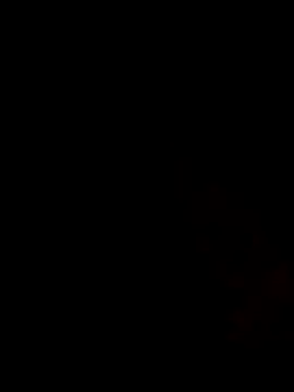 latarak321 online show from December 20, 2025, 8:33 pm