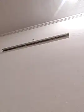 Snapshot of Anchal-8798 chatting on January 8, 2026, 4:24 pm Anchal-8798 online show from January 8, 2026, 4:24 pm