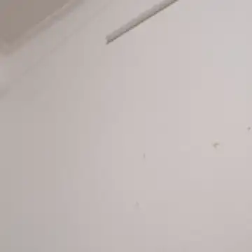 Snapshot of Anchal-8798 chatting on December 2, 2025, 6:09 pm Anchal-8798 online show from December 2, 2025, 6:09 pm