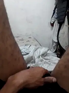 La2196 online show from November 15, 2025, 8:46 pm