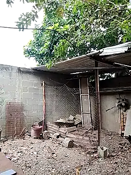 blackhot30 online show from November 26, 2025, 6:41 pm