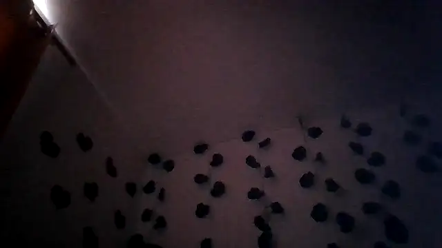 abby moss 2 online show from March 25, 2026, 12:59 pm