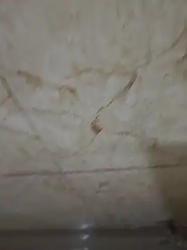 Snapshot of rishi156 chatting on November 7, 2025, 2:38 am rishi156 online show from November 7, 2025, 2:38 am