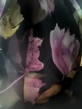 rasmi powar online show from November 7, 2025, 3:27 pm