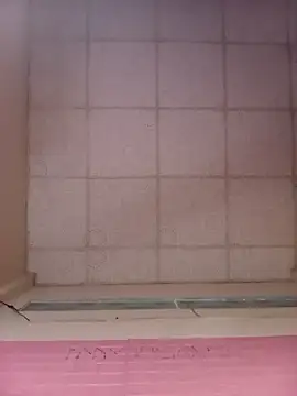 Snapshot of Cherry_pusy99 chatting on October 30, 2025, 12:25 pm Cherry pusy99 online show from October 30, 2025, 12:25 pm