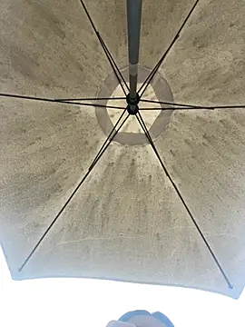 Snapshot of ElectraPink_ chatting on January 15, 2026, 12:52 pm ElectraPink online show from January 15, 2026, 12:52 pm