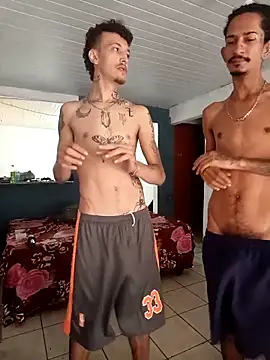 RuivoDotado24cm online show from February 10, 2026, 11:09 am