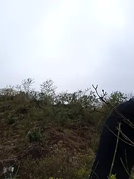 siusiu-00 online show from January 9, 2026, 2:51 am