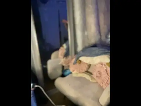 queenkelly1234 online show from April 10, 2026, 9:44 pm