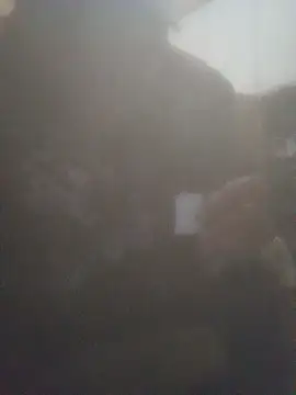 juniors-34 online show from November 22, 2025, 4:00 am