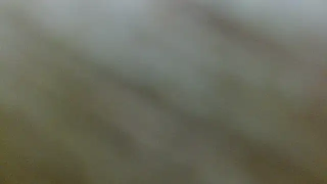 Axel Stones  online show from November 21, 2025, 1:21 pm