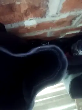 Snapshot of Rajni_chauhan chatting on November 1, 2025, 4:45 pm Rajni chauhan online show from November 1, 2025, 4:45 pm