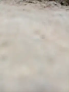 Snapshot of Rajni_chauhan chatting on October 31, 2025, 11:55 pm Rajni chauhan online show from October 31, 2025, 11:55 pm