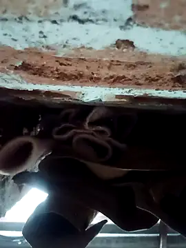 Rajni chauhan online show from February 1, 2026, 4:27 pm