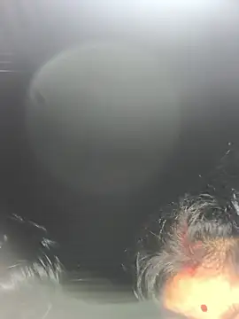 Ragni bhargav online show from January 19, 2026, 4:22 pm