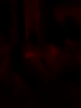 Snapshot of goloso80 chatting on May 22, 2026, 2:53 am goloso80 online show from May 22, 2026, 2:53 am