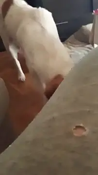 Snapshot of goloso80 chatting on October 22, 2025, 1:10 pm goloso80 online show from October 22, 2025, 1:10 pm