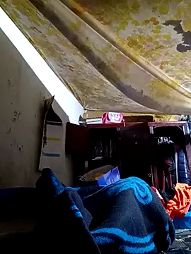 Cogelonregio online show from October 18, 2025, 11:51 pm