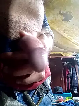 Cogelonregio online show from October 29, 2025, 4:28 pm