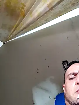 Cogelonregio online show from October 22, 2025, 3:33 pm