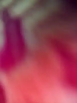 Snapshot of Ratri-Biswas chatting on February 15, 2026, 11:53 am Ratri-Biswas online show from February 15, 2026, 11:53 am