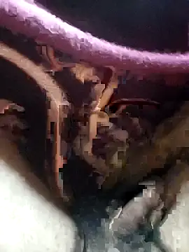 Soumyajit129ommk online show from December 4, 2025, 2:43 am