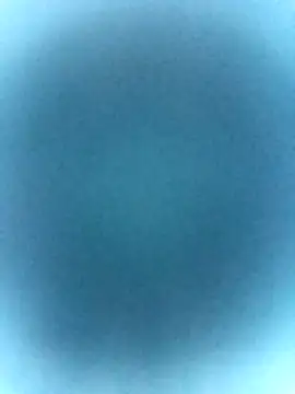 tabby-cat11 online show from February 19, 2026, 2:47 pm