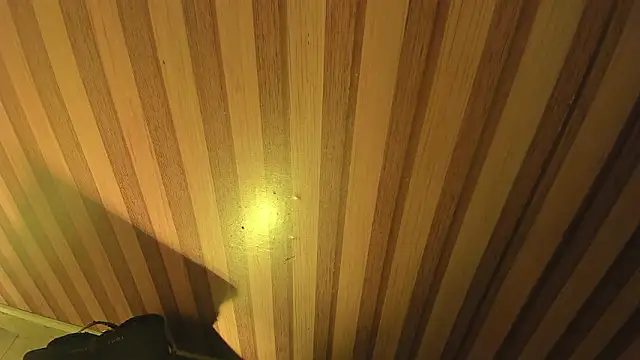 mia  blaze   online show from March 30, 2026, 2:57 am