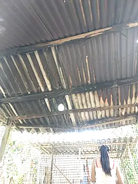 Squirrel-Pear online show from November 20, 2025, 3:51 am