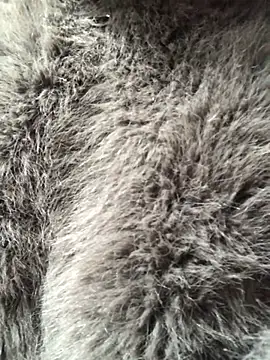 Kylie beem online show from February 10, 2026, 3:27 am