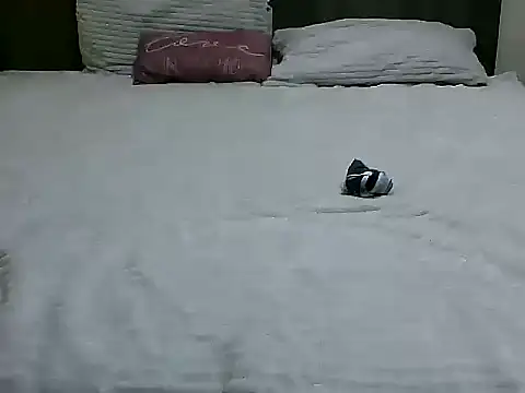 Evelyn evasara online show from November 20, 2025, 2:18 pm