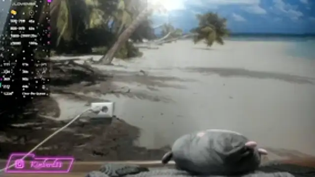 Snapshot of kimberd33 chatting on February 26, 2026, 3:12 pm kimberd33 online show from February 26, 2026, 3:12 pm