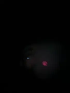 Paapii1098 online show from March 15, 2026, 8:05 pm