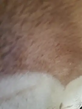 Perfect size online show from November 20, 2025, 8:59 am