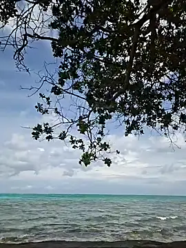 Trissa Benson online show from October 31, 2025, 6:04 pm