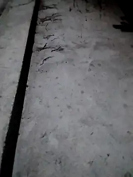 rickkis2k online show from December 17, 2025, 9:42 pm