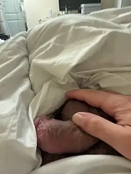 BicolorCandidate81 online show from October 30, 2025, 12:47 pm