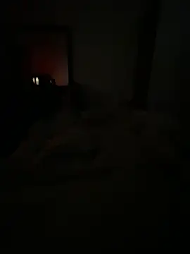 llllllllIIIll online show from February 17, 2026, 4:43 am