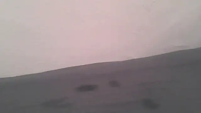 Snapshot of Femaleking29 chatting on November 8, 2025, 10:19 am Femaleking29 online show from November 8, 2025, 10:19 am