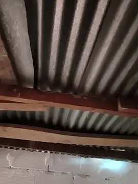 Catalina Bairon online show from November 27, 2025, 6:08 pm