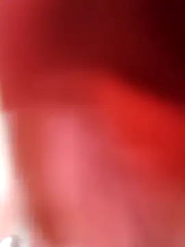 Bruninhadeusa online show from February 9, 2026, 3:26 am