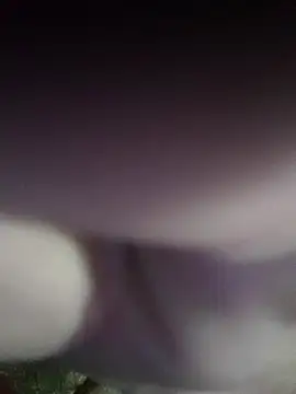 Snapshot of Morbosnif chatting on November 2, 2025, 6:29 am Morbosnif online show from November 2, 2025, 6:29 am