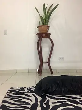 MARIANAGATE online show from November 12, 2025, 3:43 am