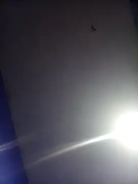 Snapshot of HSexy_Men00 chatting on November 26, 2025, 8:58 am HSexy Men00 online show from November 26, 2025, 8:58 am