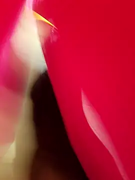 Snapshot of Electra777 chatting on October 26, 2025, 6:08 pm Electra777 online show from October 26, 2025, 6:08 pm