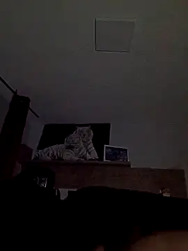 ursosvp online show from November 24, 2025, 3:17 am