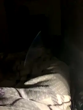 bfelipedasilva online show from October 23, 2025, 11:58 pm