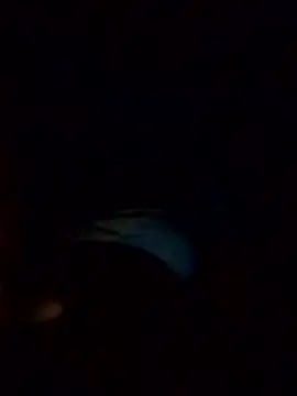 Snapshot of Poonam12A chatting on February 6, 2026, 7:54 pm Poonam12A online show from February 6, 2026, 7:54 pm