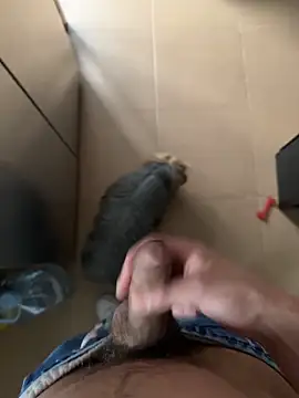 Snapshot of findomhot chatting on February 4, 2026, 3:51 pm findomhot online show from February 4, 2026, 3:51 pm