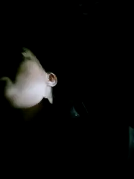 Noelle-e online show from February 14, 2026, 12:16 pm